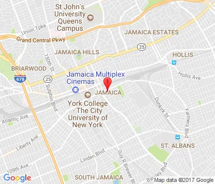 logo-image - jamaica-ny